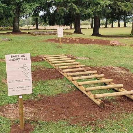 Sauts de grenouille