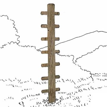 Arbre à grimper
