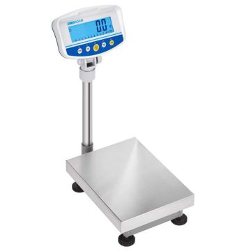 Balance de contrôle au sol